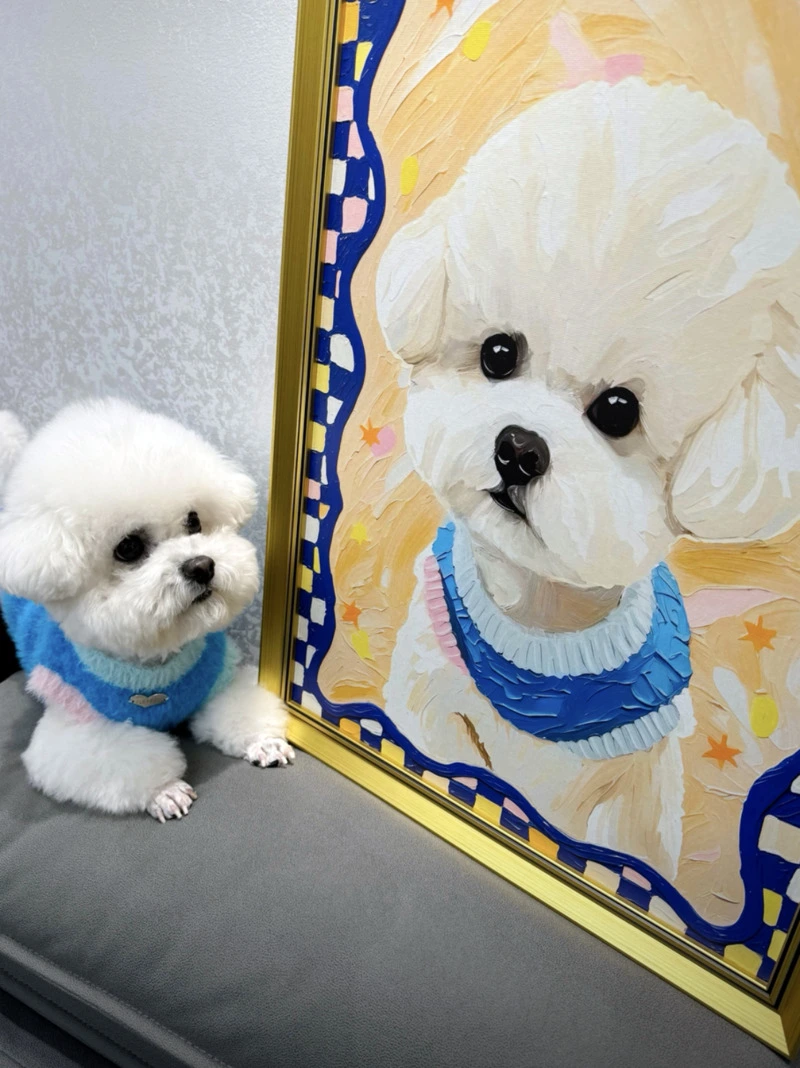 Ethan P.’s custom pet product